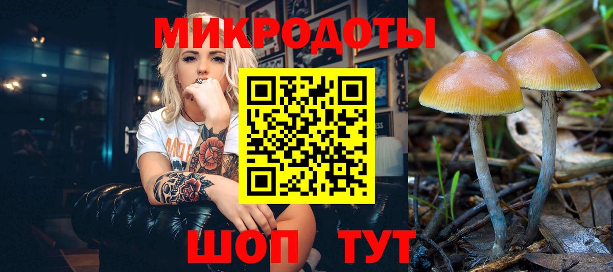 Галлюциногенные грибы Cubensis  Псилоцибиновые грибы Psilocybine cubensis  Вход с VPN  Волоколамск 